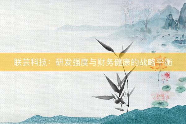 联芸科技：研发强度与财务健康的战略平衡