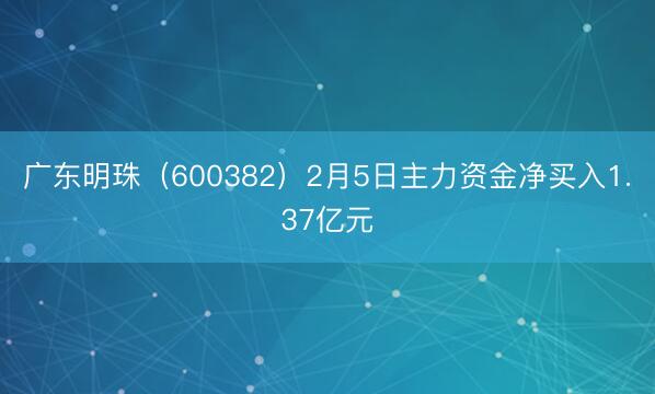 广东明珠（600382）2月5日主力资金净买入1.37亿元