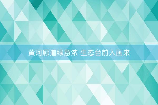黄河廊道绿意浓 生态台前入画来