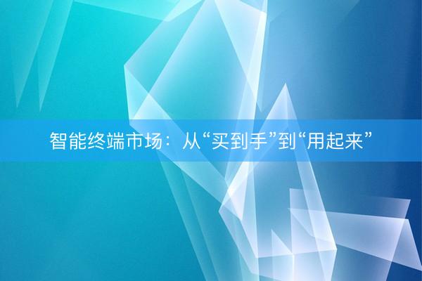 智能终端市场：从“买到手”到“用起来”
