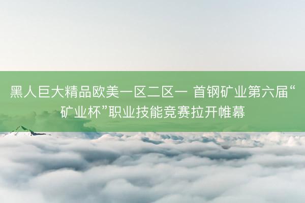 黑人巨大精品欧美一区二区一 首钢矿业第六届“矿业杯”职业技能竞赛拉开帷幕