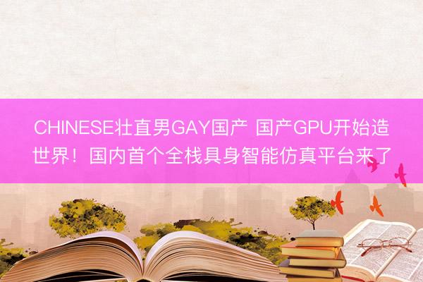 CHINESE壮直男GAY国产 国产GPU开始造世界！国内首个全栈具身智能仿真平台来了