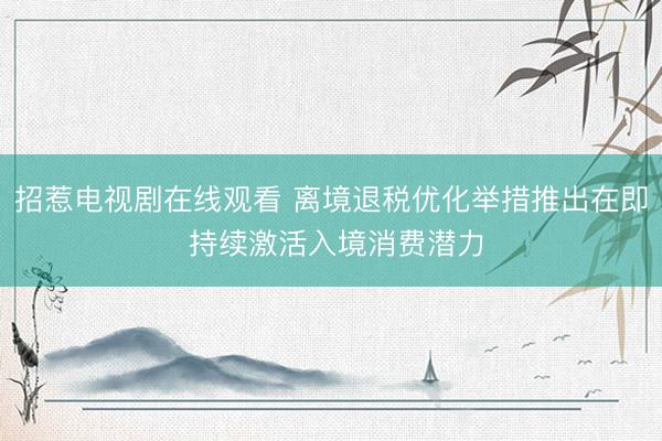 招惹电视剧在线观看 离境退税优化举措推出在即 持续激活入境消费潜力