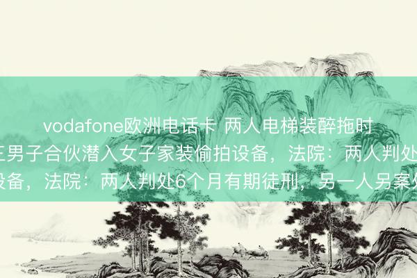 vodafone欧洲电话卡 两人电梯装醉拖时间，同伙偷装摄像头，三男子合伙潜入女子家装偷拍设备，法院：两人判处6个月有期徒刑，另一人另案处理