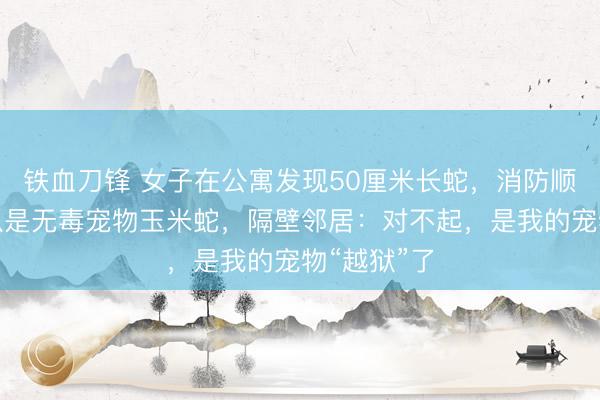 铁血刀锋 女子在公寓发现50厘米长蛇，消防顺利捕获确认是无毒宠物玉米蛇，隔壁邻居：对不起，是我的宠物“越狱”了