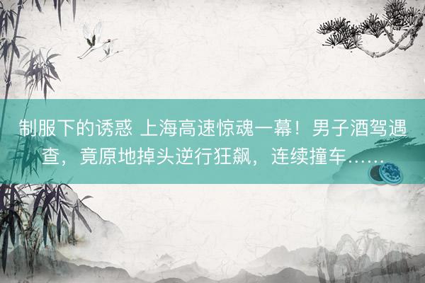 制服下的诱惑 上海高速惊魂一幕！男子酒驾遇查，竟原地掉头逆行狂飙，连续撞车……