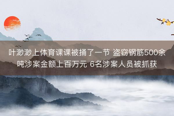 叶渺渺上体育课课被捅了一节 盗窃钢筋500余吨涉案金额上百万元 6名涉案人员被抓获