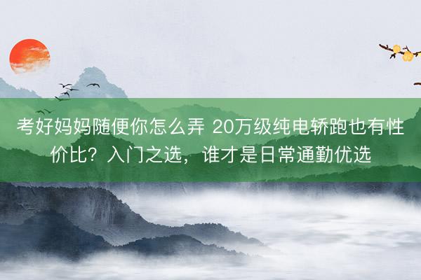 考好妈妈随便你怎么弄 20万级纯电轿跑也有性价比?入门之选,谁才是日常通勤优选