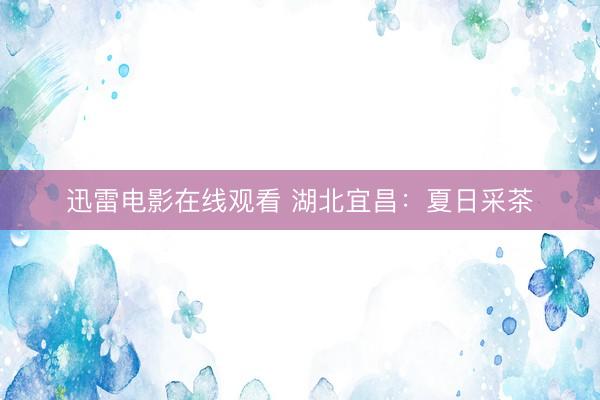 迅雷电影在线观看 湖北宜昌：夏日采茶