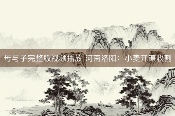 母与子完整版视频播放 河南洛阳：小麦开镰收割