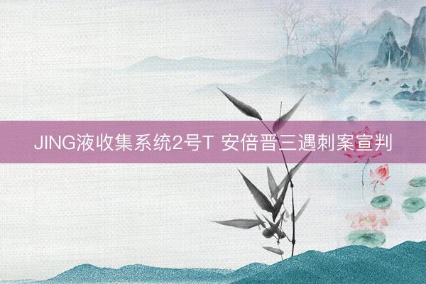 JING液收集系统2号T 安倍晋三遇刺案宣判