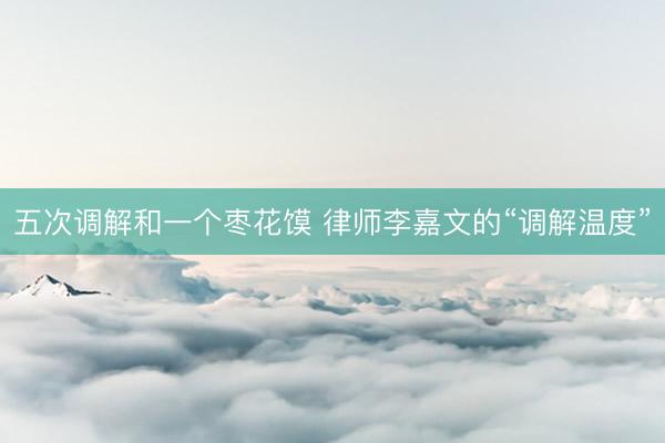 五次调解和一个枣花馍 律师李嘉文的“调解温度”