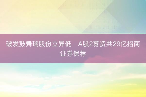 破发鼓舞瑞股份立异低 A股2募资共29亿招商证券保荐