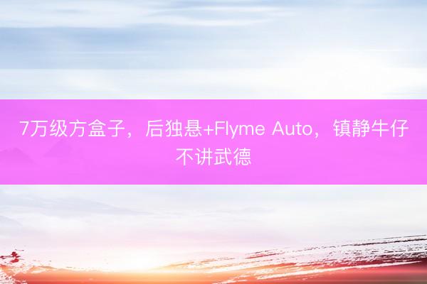 7万级方盒子，后独悬+Flyme Auto，镇静牛仔不讲武德