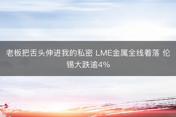 老板把舌头伸进我的私密 LME金属全线着落 伦锡大跌逾4%