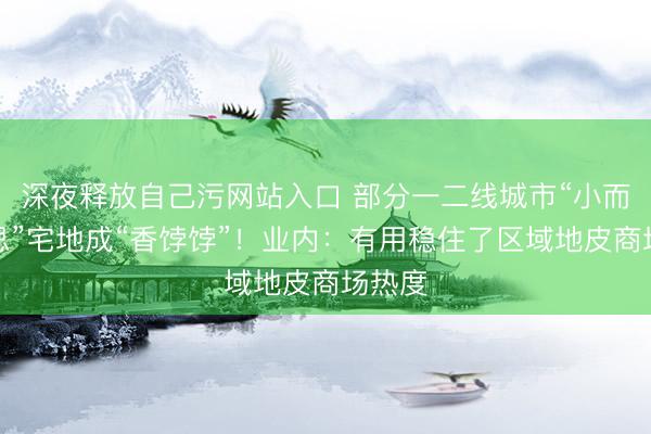 深夜释放自己污网站入口 部分一二线城市“小而好意思”宅地成“香饽饽”！业内：有用稳住了区域地皮商场热度