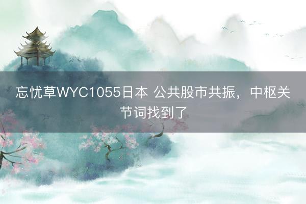 忘忧草WYC1055日本 公共股市共振，中枢关节词找到了
