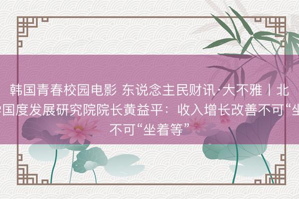 韩国青春校园电影 东说念主民财讯·大不雅丨北京大学国度发展研究院院长黄益平：收入增长改善不可“坐着等”
