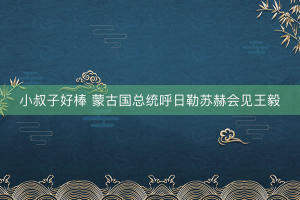 小叔子好棒 蒙古国总统呼日勒苏赫会见王毅