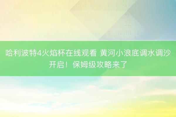 哈利波特4火焰杯在线观看 黄河小浪底调水调沙开启！保姆级攻略来了