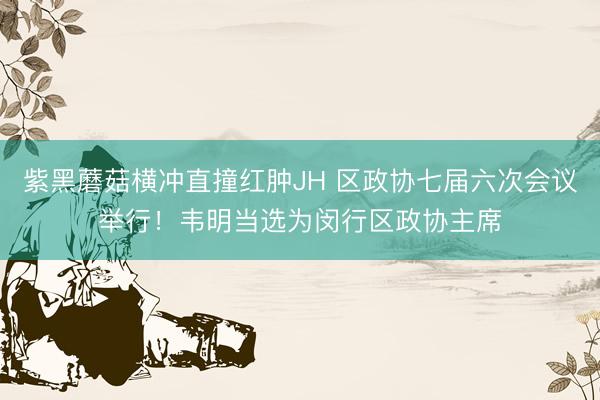 紫黑蘑菇横冲直撞红肿JH 区政协七届六次会议举行！韦明当选为闵行区政协主席