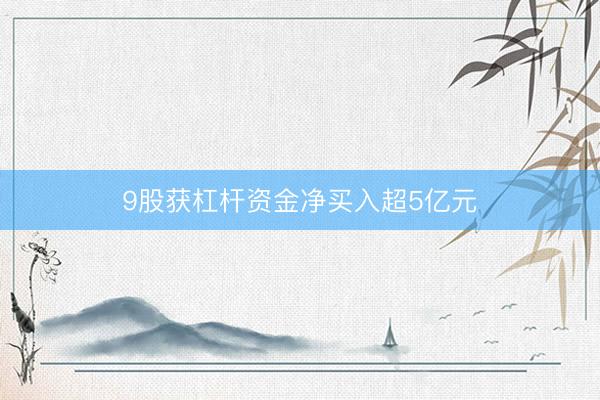 9股获杠杆资金净买入超5亿元