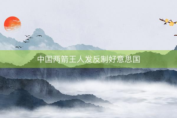 中国两箭王人发反制好意思国